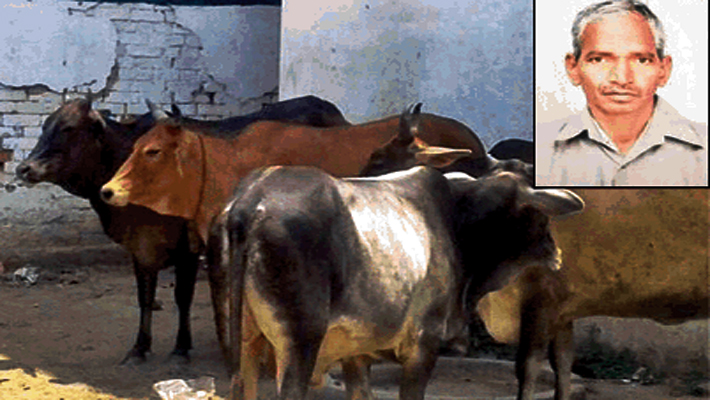 stray bull killed elderly due to Nagar Nigam negligence