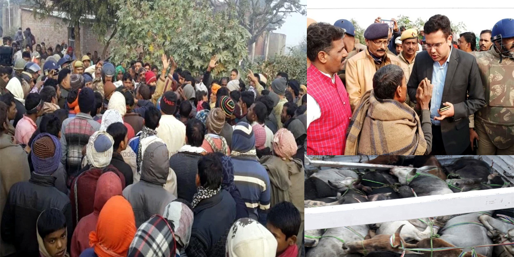 Accident in Chandauli: Seven People Killed of Same family from Cattle-Laden Truck