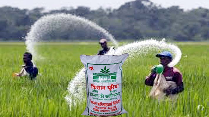 Urea Fertilizers Sold at Higher Price To Farmers in Lucknow