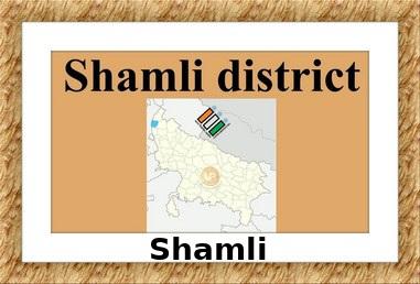 Shamli Election Result 2022