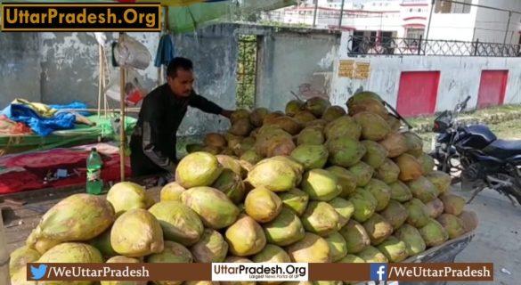 demand-for-coconut-water-increased-in-hardoi
