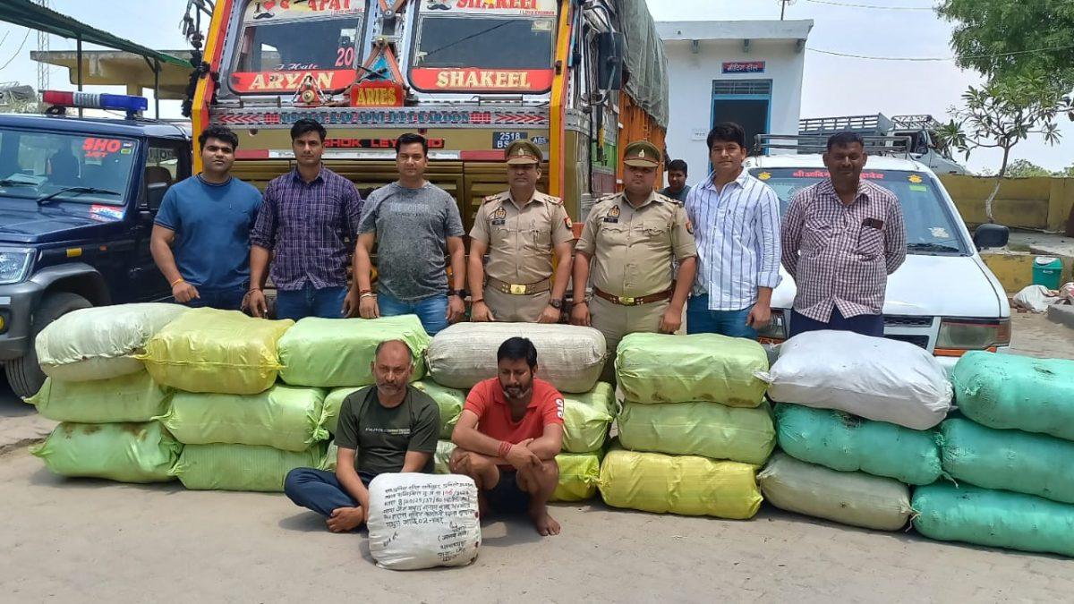 मथुरा- पुलिस ने पकड़ा 525 किलो अवैध गांजा
